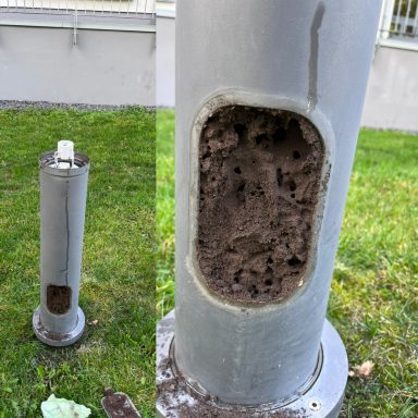 Ameisennest in der Außenbeleuchtung